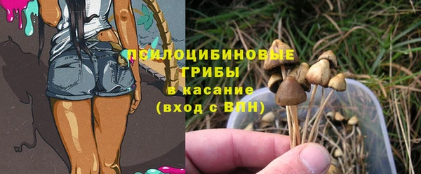 ECSTASY Верхний Тагил